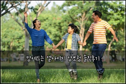 맘에드는 엘아이지 암보험 솔직후기