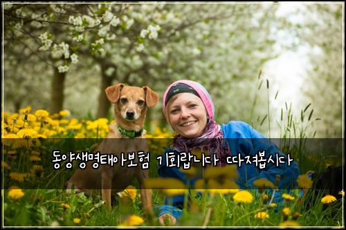 동양생명태아보험 기회랍니다  따져봅시다