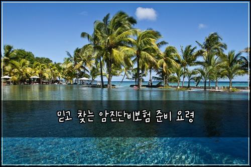 믿고 찾는 암진단비보험 준비 요령