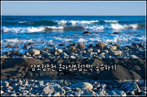 암보험추천 온라인보험견적 공유하기