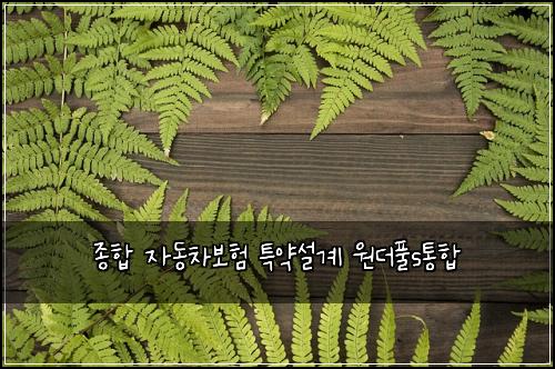 종합 자동차보험 특약설계  원더풀s통합