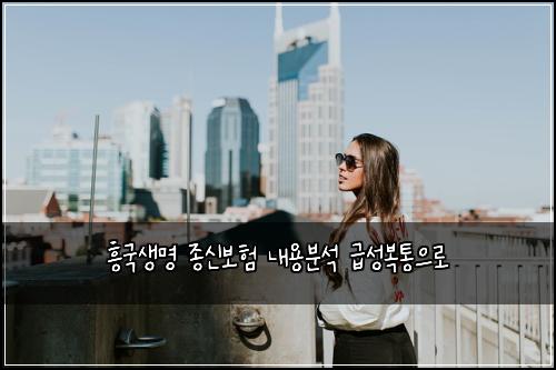 흥국생명 종신보험 내용분석  급성복통으로