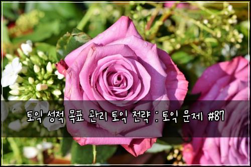 토익 성적 목표 관리 토익 전략 : 토익 문제 #87