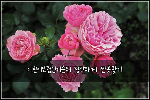 어린이보험인기순위 정직하게 싼곳찾기