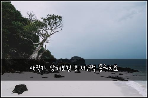 ๋งค์ง์นด ์ํด๋ณดํ ์ต์ ๊ฒฌ์ ํต์์น๋ฃ