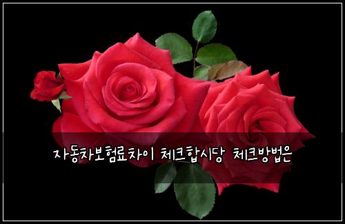 ์๋์ฐจ๋ณดํ๋ฃ์ฐจ์ด ์ฒดํฌํฉ์๋น ์ฒดํฌ๋ฐฉ๋ฒ์
