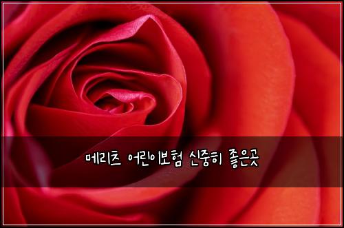 ๋ฉ๋ฆฌ์ธ ์ด๋ฆฐ์ด๋ณดํ ์ ์คํ ์ข์๊ณณ