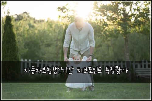 자동차보험갱신기간 체크포인트 특징뭘까
