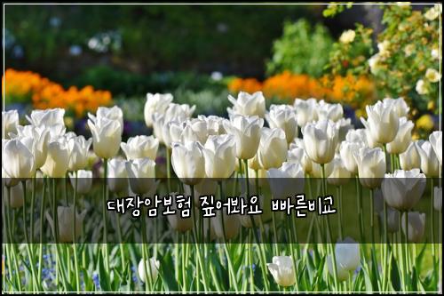 ๋์ฅ์๋ณดํ ์ง์ด๋ด์ ๋น ๋ฅธ๋น๊ต