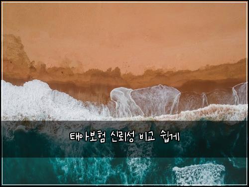 νμ보ν μ λ’°μ± λΉκ΅ μ½κ²