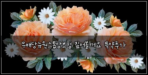 ๋ฌด๋ฐฐ๋น๋ด์์คํฑ์๋ณดํ ์ง์ด๋ณผ๊ป์ ํน์ฝ์ถ๊ฐ