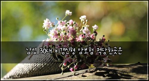 남성 30대 비갱신형 암보험 적당한곳은 