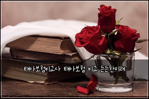 ํ์๋ณดํ๋น๊ต์ฌ ํ์๋ณดํ ๋น๊ต ๋ ๋ ํ๋ฏธ๋