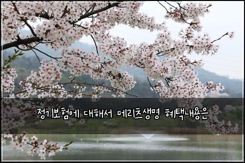 정기보험에 대해서 메리츠생명 혜택내용은