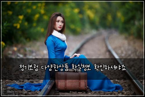 정기보험 다양한상품  확실정보 확인하셔야죠