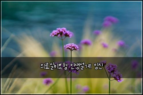์๋ฃ์ค๋น๋ณดํ ์ธ์์ค๊ณ ์์