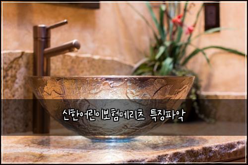 신한어린이보험메리츠 특징파악