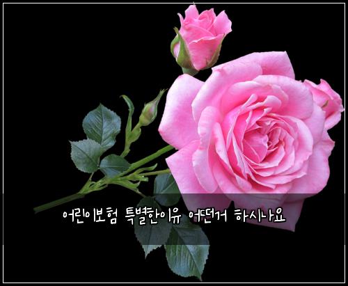 ์ด๋ฆฐ์ด๋ณดํ ํน๋ณํ์ด์ ์ด๋ค๊ฑฐ ํ์๋์