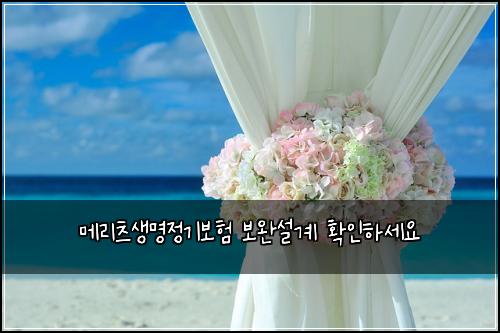 ๋ฉ๋ฆฌ์ธ ์๋ช
์ ๊ธฐ๋ณดํ ๋ณด์์ค๊ณ ํ์ธํ์ธ์