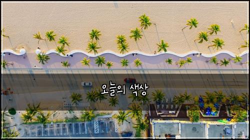 오늘의 색상