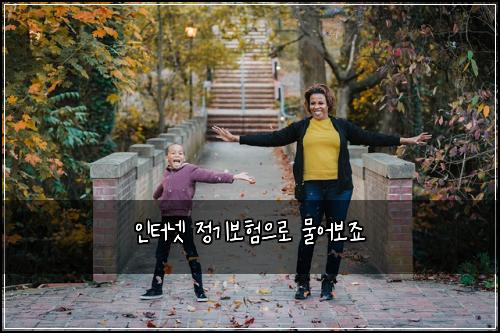 인터넷 정기보험으로 물어보죠