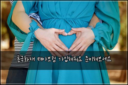 ํฅ๊ตญํ์ฌ ํ์๋ณดํ ๊ฐ์
ํด๋ฌ์ ์ค๋นํด๋ณด์ธ์