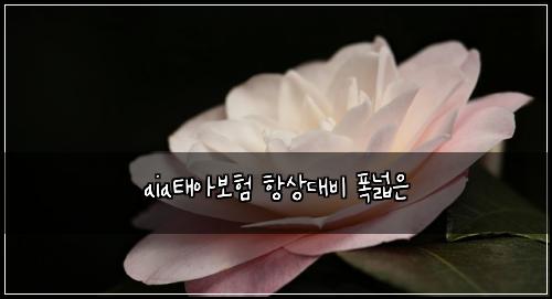 aiaํ์๋ณดํ ํญ์๋๋น ํญ๋์