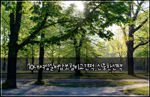 70대여성실버암보험비교견적 신중한선택