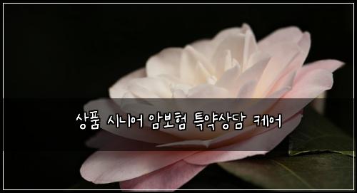 ์ํ ์๋์ด ์๋ณดํ ํน์ฝ์๋ด ์ผ์ด