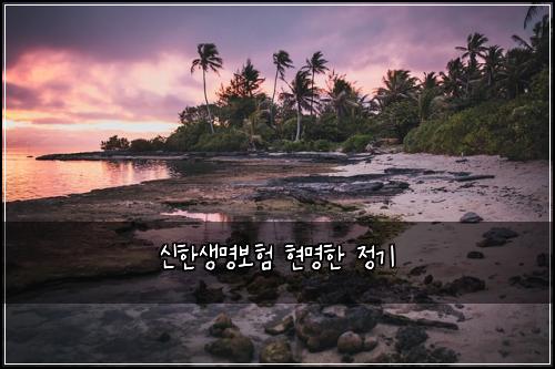 ์ ํ์๋ช
๋ณดํ ํ๋ช
ํ ์ ๊ธฐ