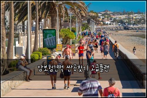암보험견적 싼곳찾기 고급플랜