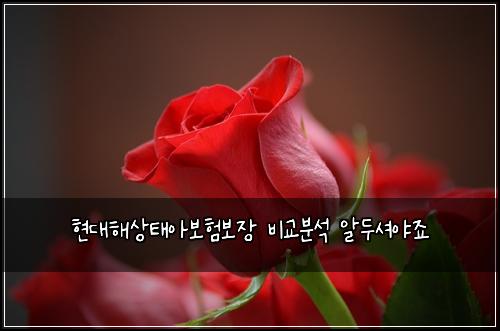 현대해상태아보험보장 비교분석 알두셔야죠