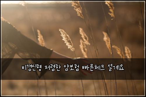 ๋น๊ฐฑ์ ํ ์ ๋ ดํ ์๋ณดํ ๋น ๋ฅธ์ฒดํฌ ์ค๊ณ์