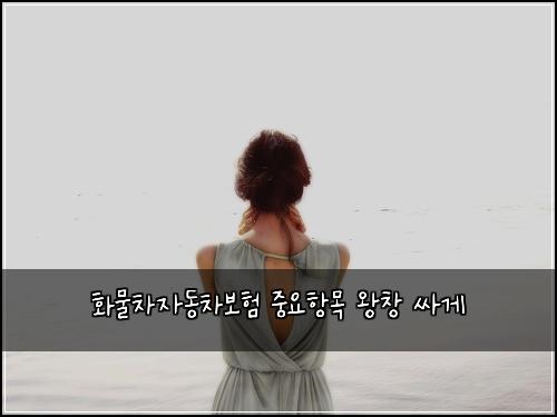 화물차자동차보험 중요항목  왕창 싸게