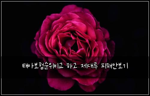 ํ์๋ณดํ์์๋น๊ต ํ๊ณ ์ ๋๋ฃจ ํผํด์๋ณด๊ธฐ