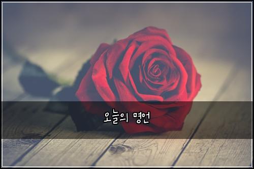 오늘의 명언
