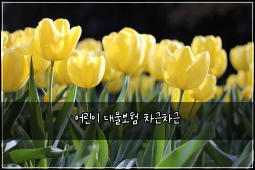 ์ด๋ฆฐ์ด ๋๋ฌผ๋ณดํ ์ฐจ๊ทผ์ฐจ๊ทผ