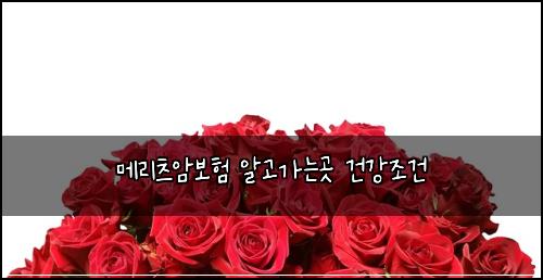 ๋ฉ๋ฆฌ์ธ ์๋ณดํ ์๊ณ ๊ฐ๋๊ณณ ๊ฑด๊ฐ์กฐ๊ฑด