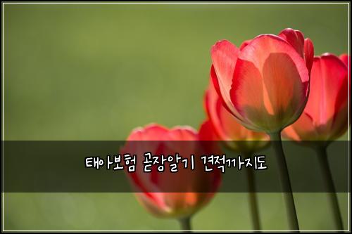 ํ์๋ณดํ ๊ณง์ฅ์๊ธฐ ๊ฒฌ์ ๊น์ง๋