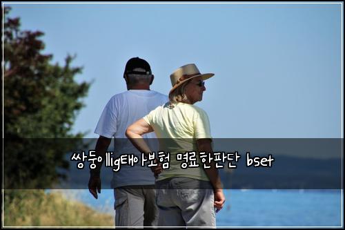 쌍둥이lig태아보험 명료한판단  bset