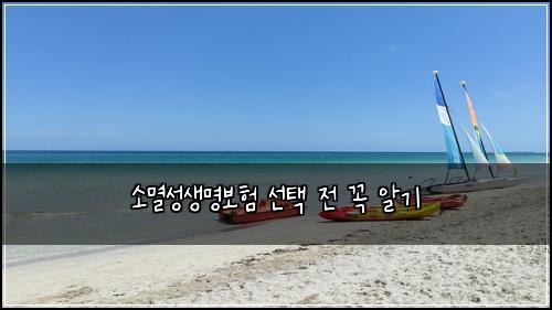 소멸성생명보험 선택 전 꼭 알기