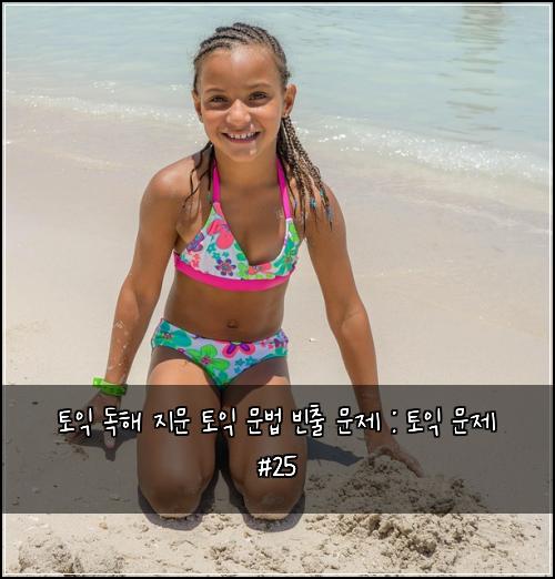 토익 독해 지문 토익 문법 빈출 문제 : 토익 문제 #25