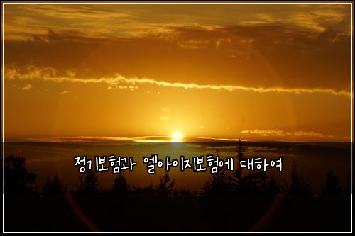 정기보험과 엘아이지보험에 대하여