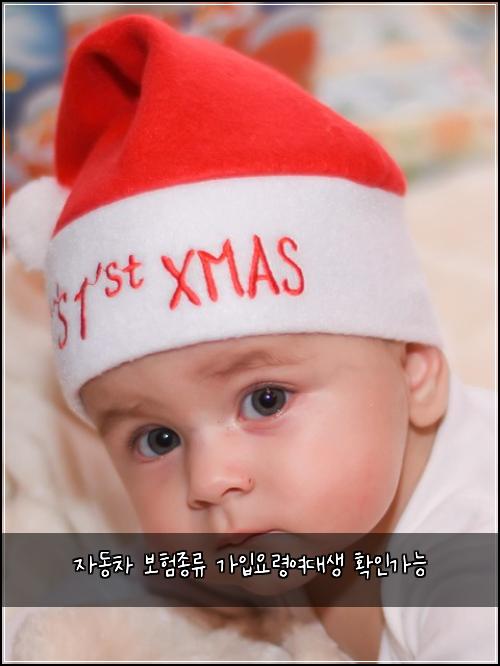 ์๋์ฐจ ๋ณดํ์ข
๋ฅ ๊ฐ์
์๋ น์ฌ๋์ ํ์ธ๊ฐ๋ฅ