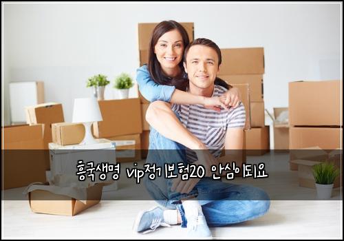 ν₯κ΅μλͺ
vipμ 기보ν20 μμ¬μ΄λμ