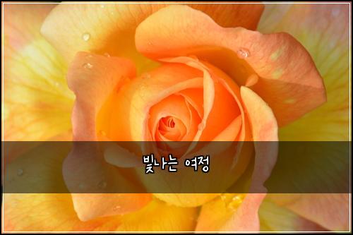 빛나는 여정