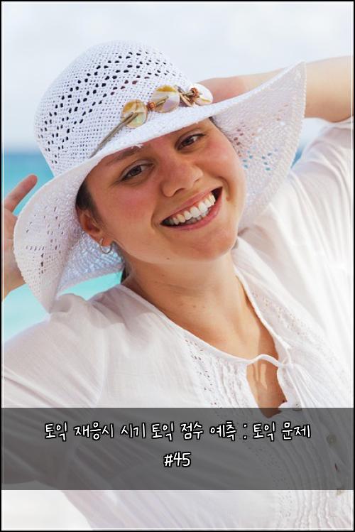토익 재응시 시기 토익 점수 예측 : 토익 문제 #45