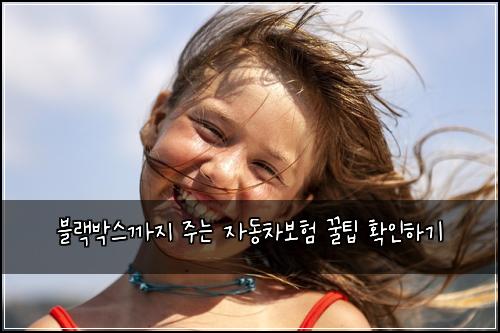 블랙박스까지 주는 자동차보험 꿀팁 확인하기