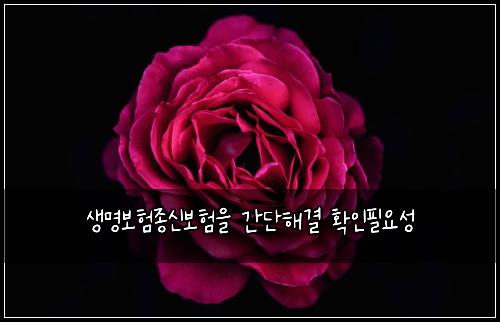 ์๋ช
๋ณดํ์ข
์ ๋ณดํ์ ๊ฐ๋จํด๊ฒฐ ํ์ธํ์์ฑ