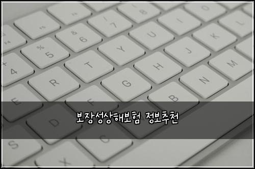 보장성상해보험 정보추천 